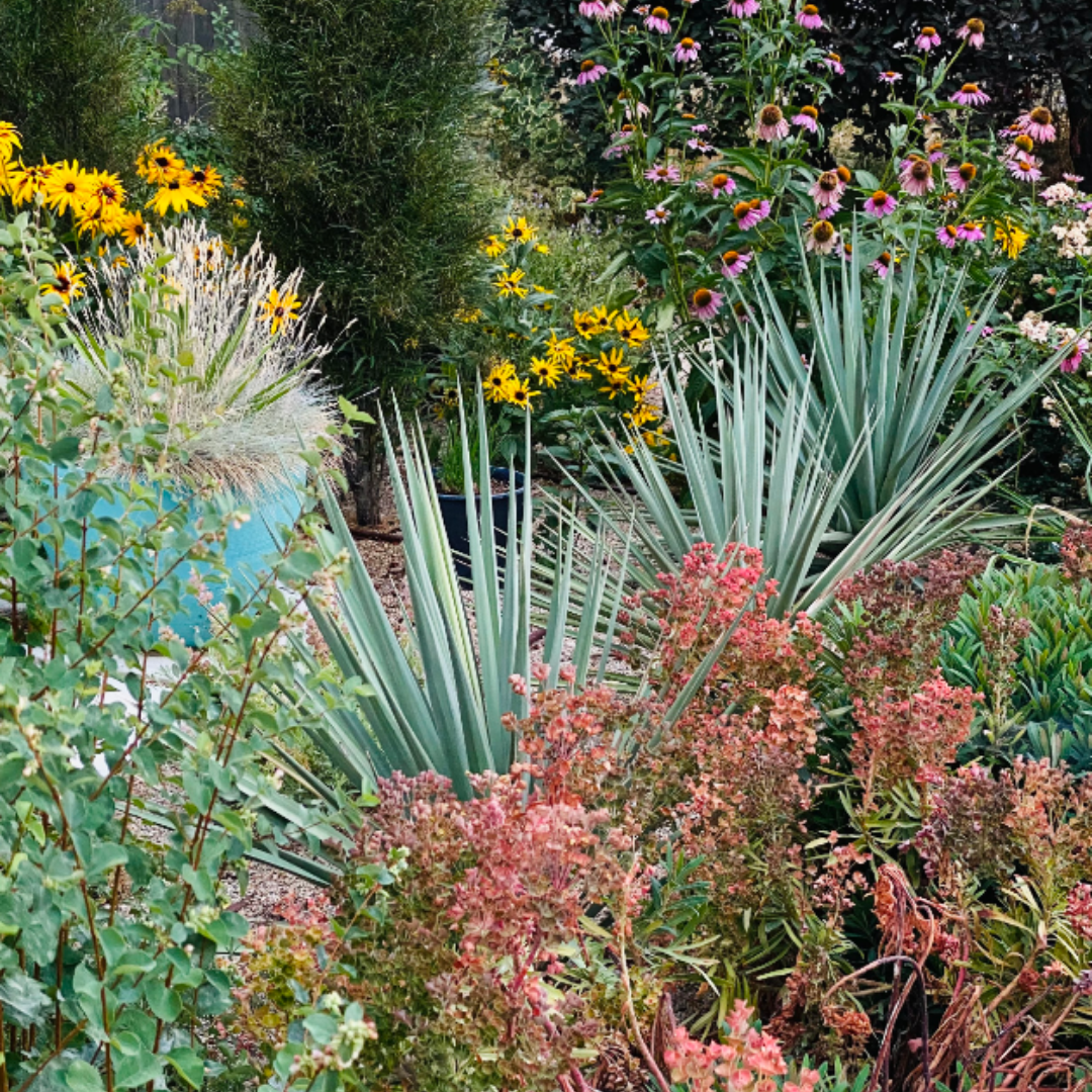 waterwise classes | Ada Soil & Water Conservation District